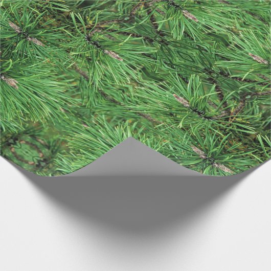 Gift Wrap Roll Pine Boughs Geschenkpapier (Ecke)