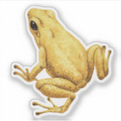 Giftdarmfrosch Aufkleber (Vorderseite)