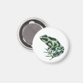Giftdarmfrosch Magnet (Vorderseite/Rückseite)