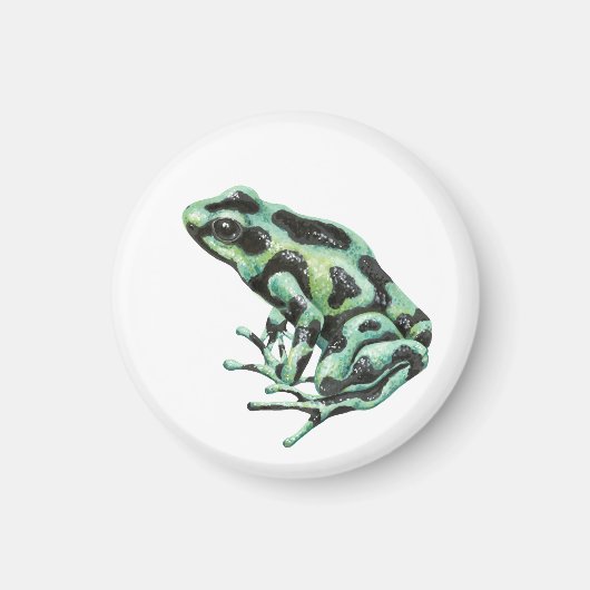 Giftdarmfrosch Magnet (Vorne)