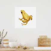 Giftdarmfrosch Poster (Küche)