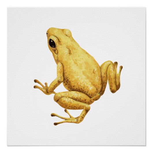 Giftdarmfrosch Poster (Vorderseite)