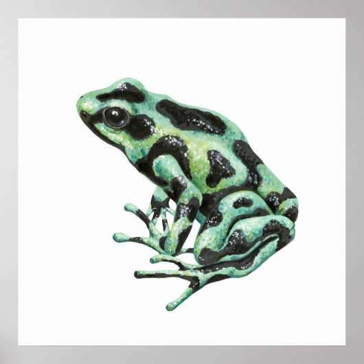 Giftdarmfrosch Poster (Vorne)