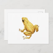 Giftdarmfrosch Postkarte (Vorne/Hinten)