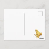 Giftdarmfrosch Postkarte (Rückseite)