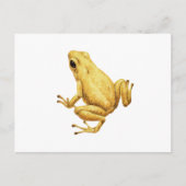 Giftdarmfrosch Postkarte (Vorderseite)