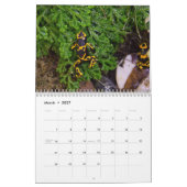 Giftdartfrosch-Kalender 2025 Kalender (Mär 2027)