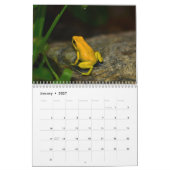 Giftdartfrosch-Kalender 2025 Kalender (Jan 2027)