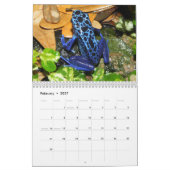 Giftdartfrosch-Kalender 2025 Kalender (Feb 2027)