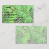 Giftefeu Visitenkarte (Vorne/Hinten)