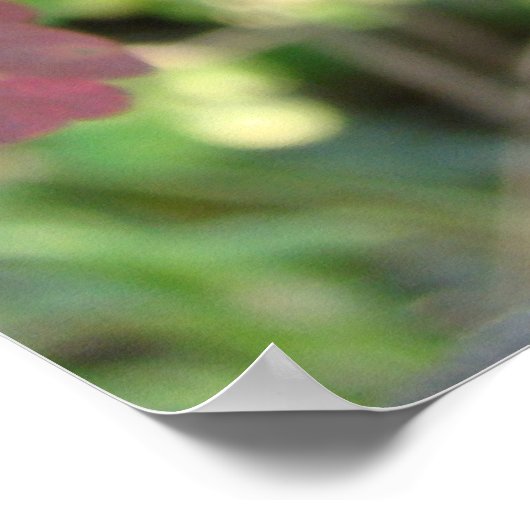 Gifteiche Poster (Ecke)