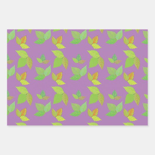 Gifteifenverpackungspapier Geschenkpapier Set (Vorderseite)