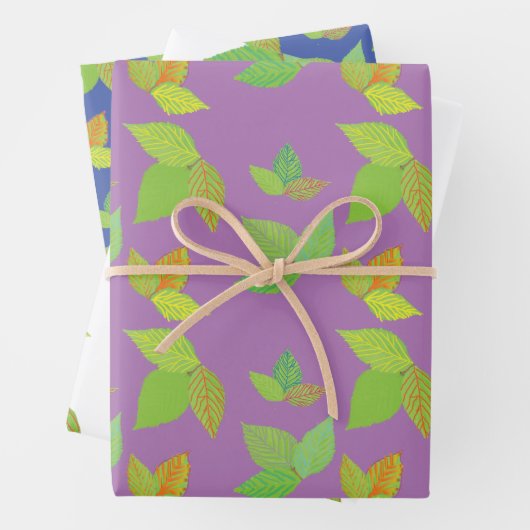 Gifteifenverpackungspapier Geschenkpapier Set (Beispiel)