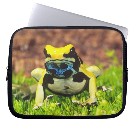 Giftfrosch, Dendrobate, Tinktorius, Laptopschutzhülle (Vorderseite)