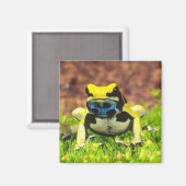 Giftfrosch, Dendrobate, Tinktorius, Magnet (Vorderseite/Rückseite)