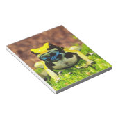Giftfrosch, Dendrobate, Tinktorius, Notizblock (angewinkelt)