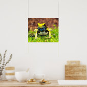 Giftfrosch, Dendrobate, Tinktorius, Poster (Küche)