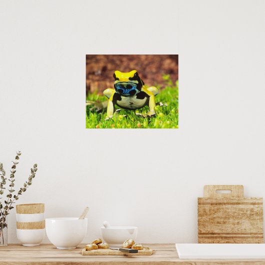 Giftfrosch, Dendrobate, Tinktorius, Poster (Küche)