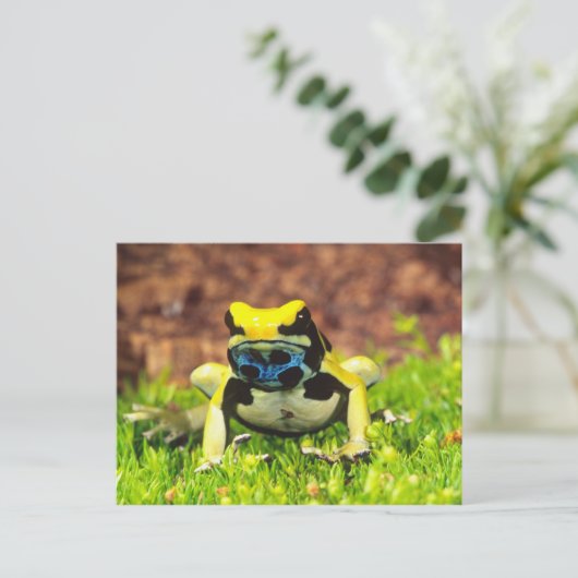 Giftfrosch, Dendrobate, Tinktorius, Postkarte (Stehend Vorderseite)