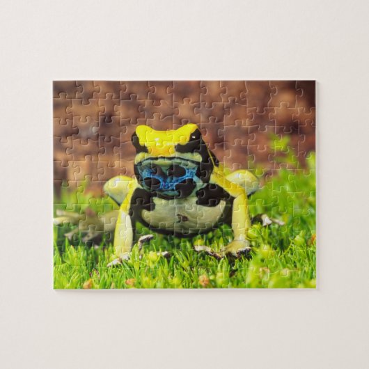 Giftfrosch, Dendrobate, Tinktorius, Puzzle (Horizontal)