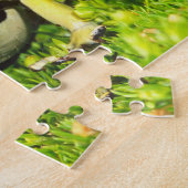 Giftfrosch, Dendrobate, Tinktorius, Puzzle (Seite)