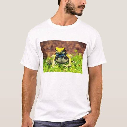 Giftfrosch, Dendrobate, Tinktorius, T-Shirt (Vorderseite)