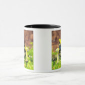 Giftfrosch, Dendrobate, Tinktorius, Tasse (Zentrum)