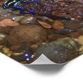 Giftfröschen-Poster Poster (Ecke)