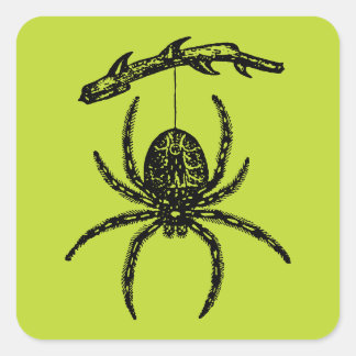 Giftgrüne Spinne Quadratischer Aufkleber