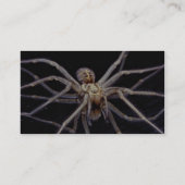 Giftige bedrohliche Reclusespinne Visitenkarte (Rückseite)