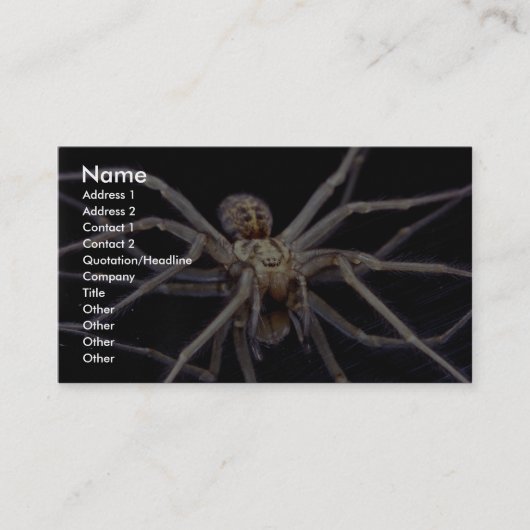 Giftige bedrohliche Reclusespinne Visitenkarte (Vorderseite)