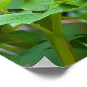 Giftige Herzen Poster (Ecke)