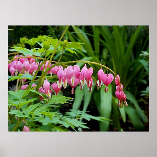 Giftige Herzen Poster (Vorne)