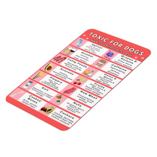 Giftige Lebensmittel für Hunde Kühlschrankmagnet Magnet (Linke Seite)