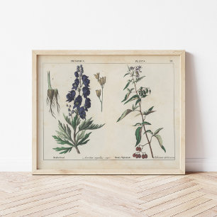 Giftige Pflanze   Charlotte Mary Yonge Poster