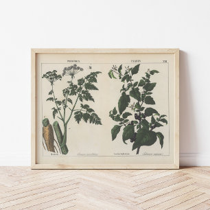 Giftige Pflanze   Charlotte Mary Yonge Poster