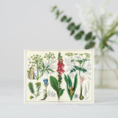 Giftige Pflanze Postkarte (Stehend Vorderseite)