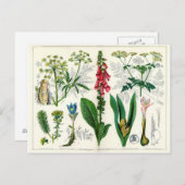 Giftige Pflanze Postkarte (Vorne/Hinten)