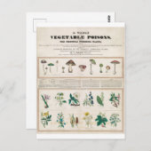 Giftige Pflanze Vintag Botanische Postkarte (Vorne/Hinten)