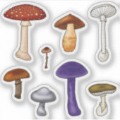 Giftige Pilze Aufkleber (Vorderseite)