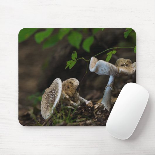 Giftige Schönheit Mousepad (Mit Mouse)