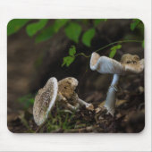 Giftige Schönheit Mousepad (Vorne)