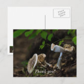 Giftige Schönheit Postkarte (Vorne/Hinten)