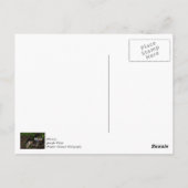 Giftige Schönheit Postkarte (Rückseite)