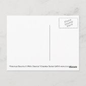 "Giftige Schönheiten II: White Oleander" Postcard Postkarte (Rückseite)
