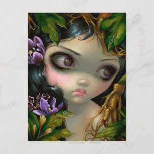 "Giftige Schönheiten XIV: Mandrake Root" Postcard Postkarte