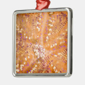 Giftiger Feuer-Bengel (Asthenosoma varium) Silbernes Ornament (Links)