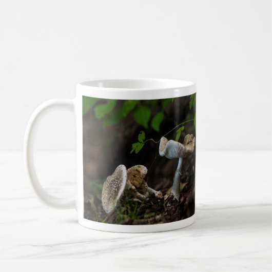 Giftkaffee-Tasse Kaffeetasse (Links)