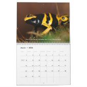 Giftpfeil-Froschkalender Kalender (Mär 2026)