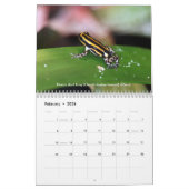 Giftpfeil-Froschkalender Kalender (Feb 2026)